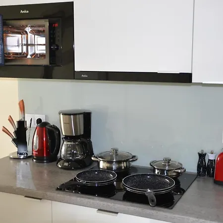 Srebrny Z Garazem Lägenhet