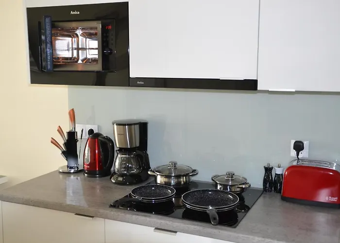 Srebrny Z Garazem Lägenhet