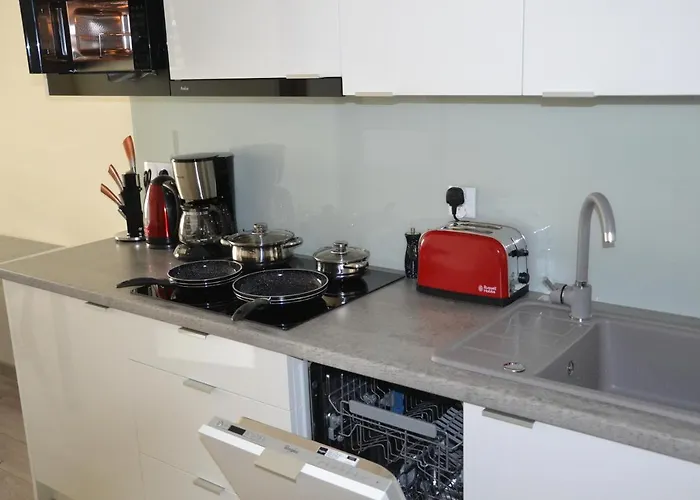 Apartment Srebrny Z Garazem *